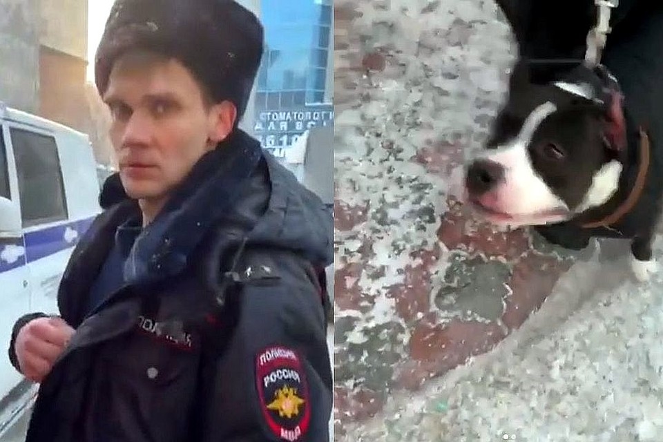 Экспертиза показала, что полицейский был трезв. А вот владелец собаки нарушил закон.