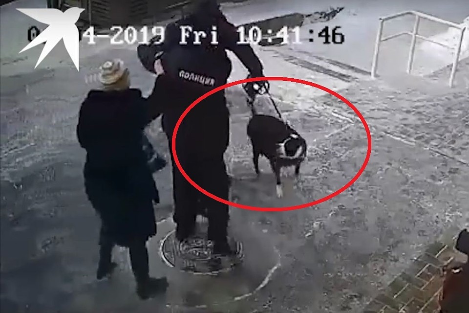 Полицейский пытается остановить пьяного мужчину с собакой.