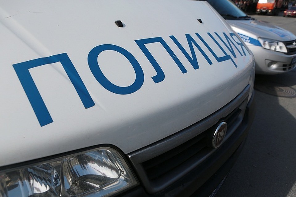 Под Кингисеппом собутьльник до смерти забил пенсионера дверью.