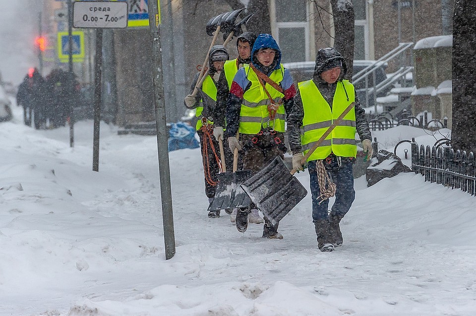 В Петербург пришла метель