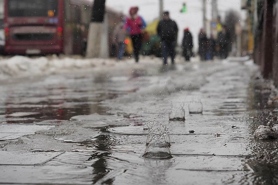В Петербург пришла февральскя оттепель.