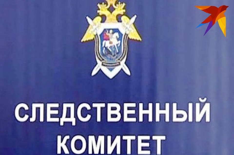 Дело вел Следственный комитет