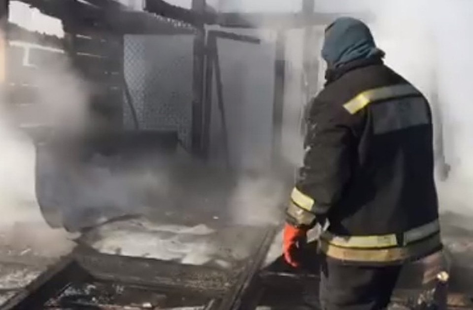 Под Иркутском в приюте для животных произошел пожар. Фото: соцсети