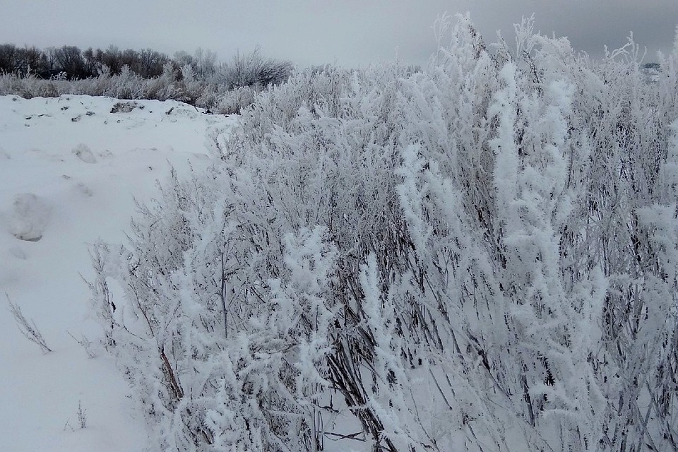 В субботу в Липецке обещают небольшой снег
