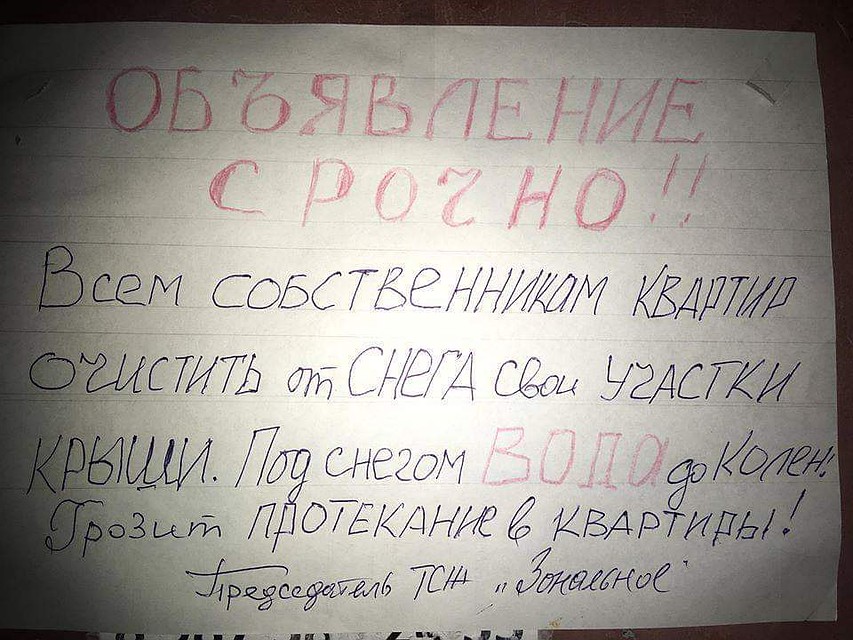 Фото пользователя Facebook Таисии Желтой