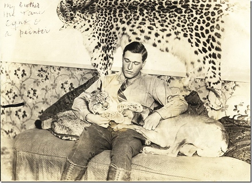 Валерий Янковский
