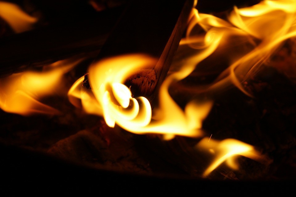 ФОТО: pixabay.com