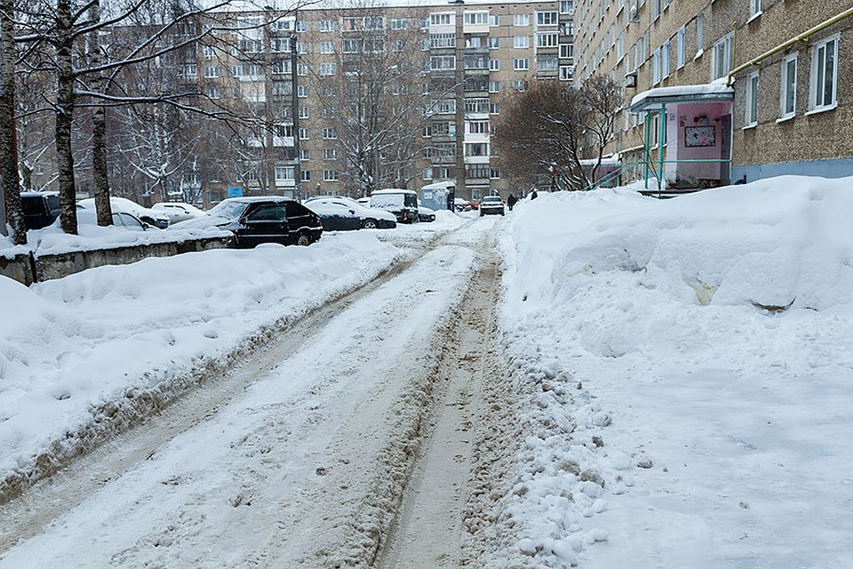 Фото: Екатерина Гажура