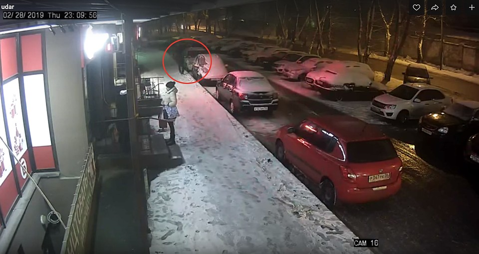 Фото: скриншот видео.