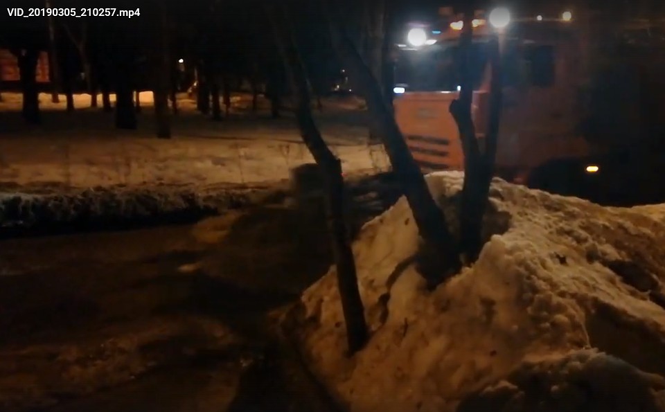 Фото: скриншот видео.