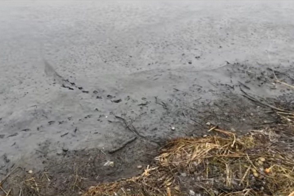 Кадр из видео