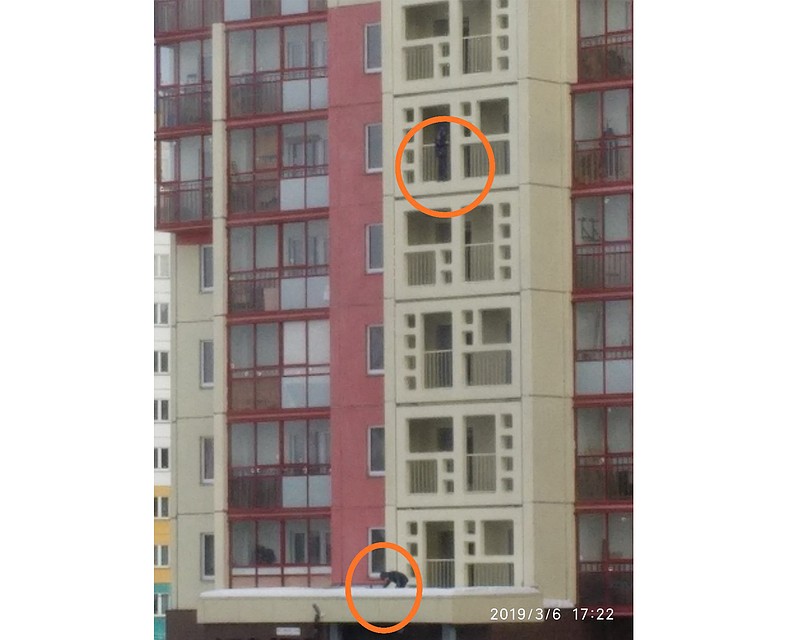 Подросток вскарабкался до 11 этажа по стене дома. Фото: Любовь Криницына.