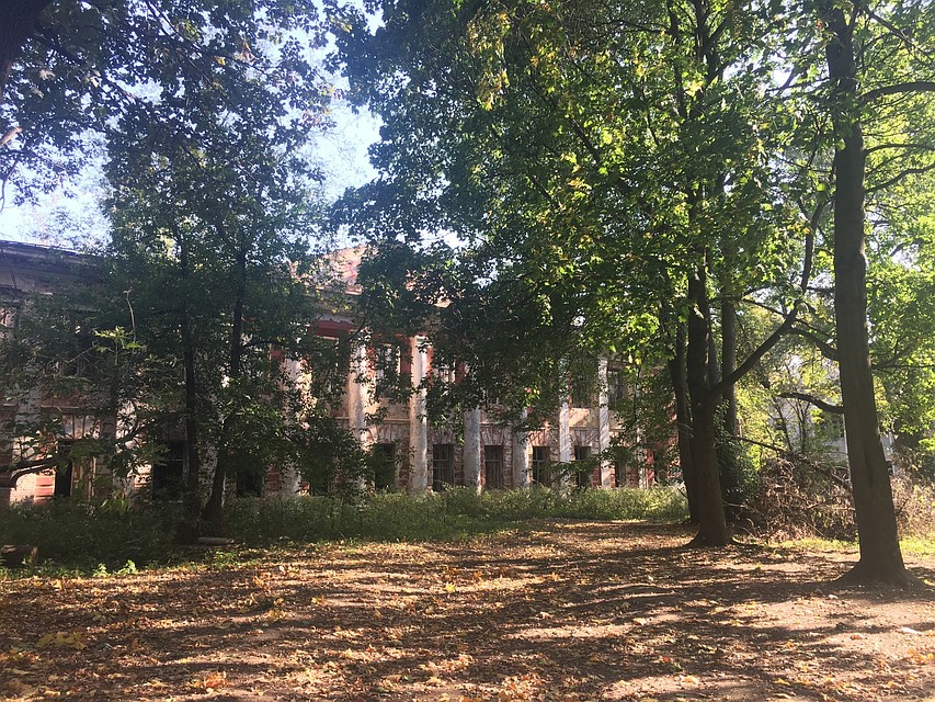 Заброшенный парк в самом центре Твери уже давно облюбовали люби без определенного места жительства