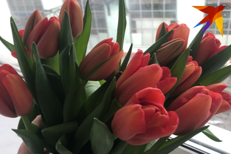 8 марта днем возможен дождь