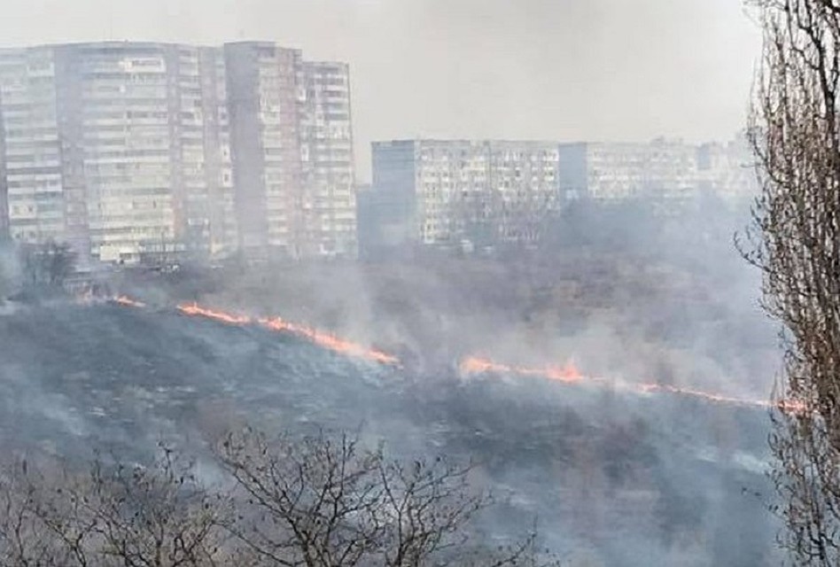 На Ботанике горела трава. Фото: publika