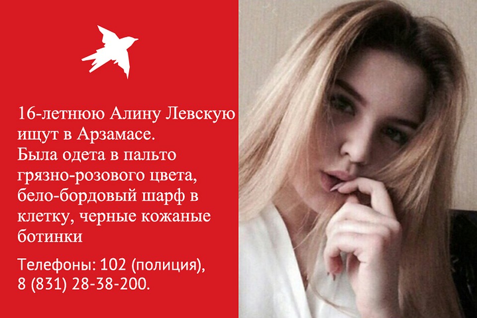 16-летняя Алина Левская пропала в Нижегородской области