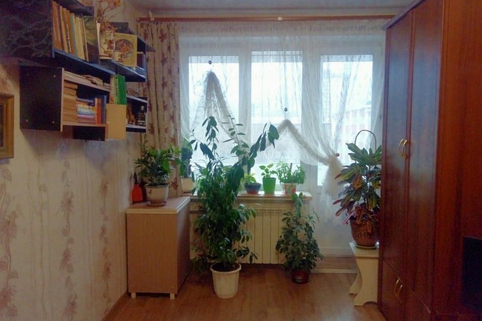 В Красноярске продают старую «однушку» по цене 195 миллионов рублей. Фото: портал недвижимости N1