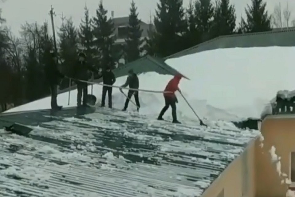 Фото: скриншот с видео