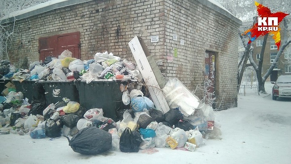 В Белгородской области в апреле появятся 1500 новых мусорных контейнеров.