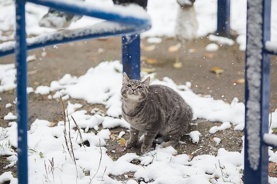 А вообще скорее бы уже лето!