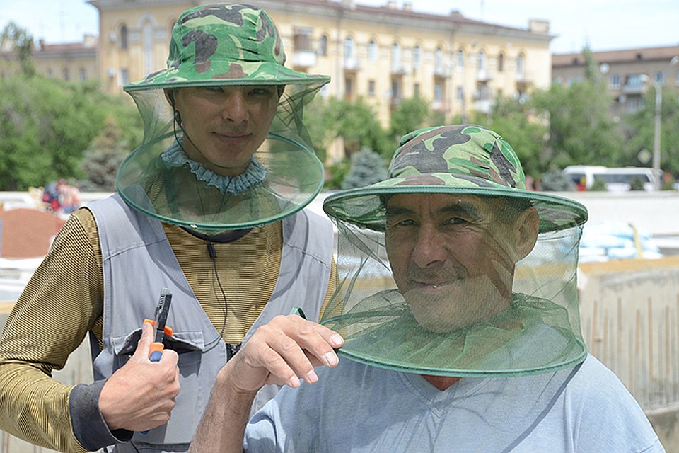 В этом году обещают сделать все по правилам.
