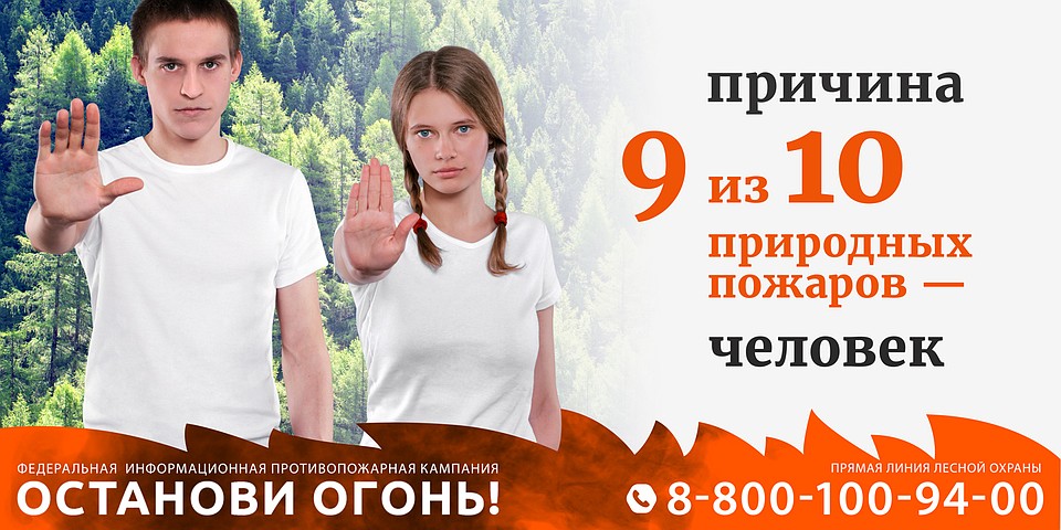 Фото:Пресс-служба управления лесного и охотничьего хозяйства Белгородской области.