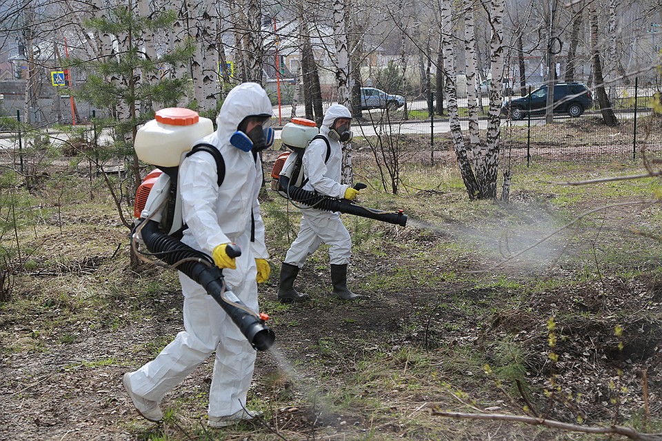 Опасные районы города будут обработаны