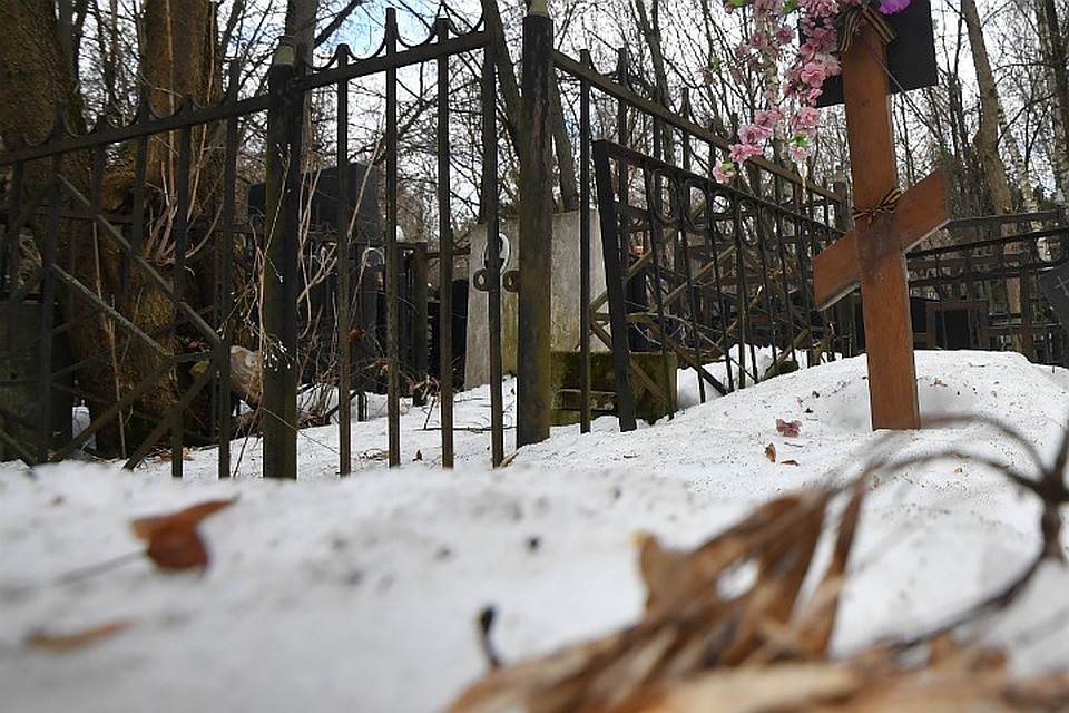 Даже торги на право менять лампочки в фонарях кладбища не могут пройти без сговора.