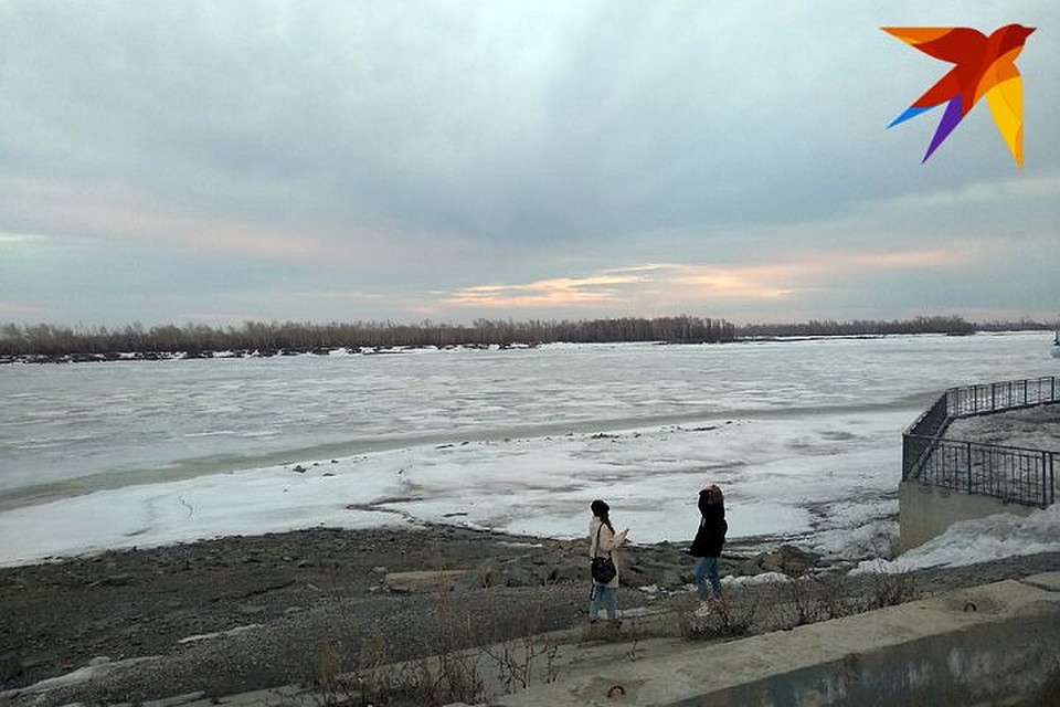 Осадков синоптики не прогнозируют, правда, будет южный ветер 3-8 метров в секунду.