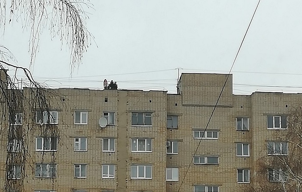 Фото: соцсети