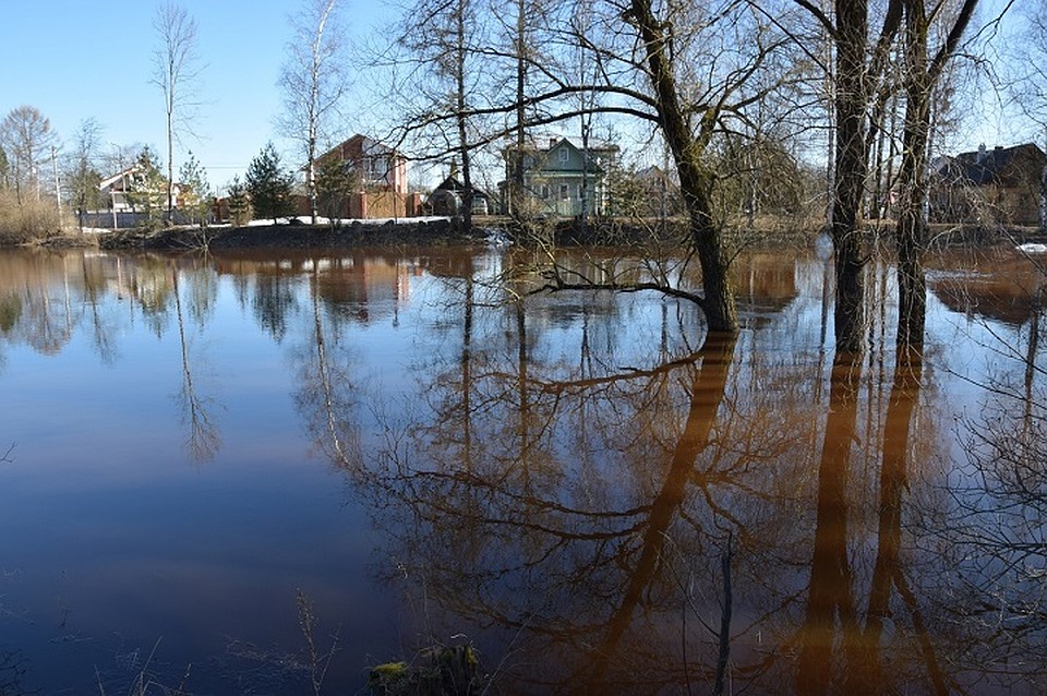Город Тосно Ленобласти затопило