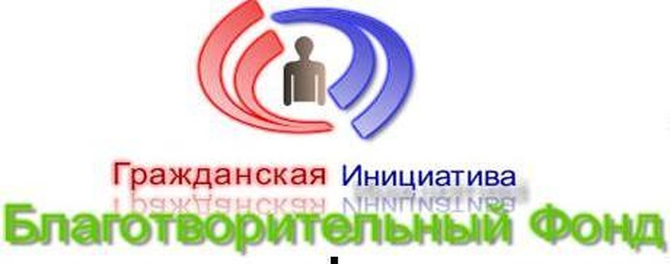В течение 2018 года Фонд осуществлял исключительно благотворительную уставную деятельность.