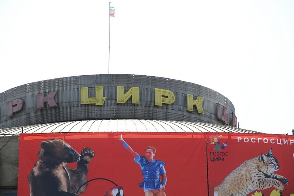 До закрытия Красноярского цирка осталось девять дней