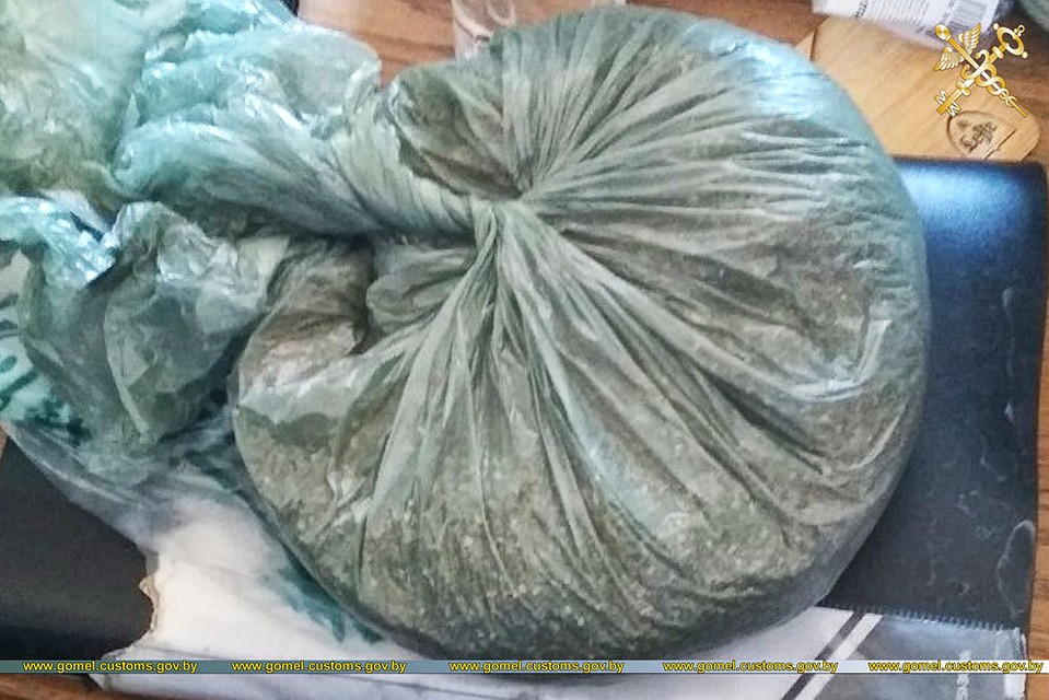 Гомельские таможенники изъяли у сбытчика наркотиков сначала марихуану, а потом еще и боеприпасы. Фото: customs.gov.by
