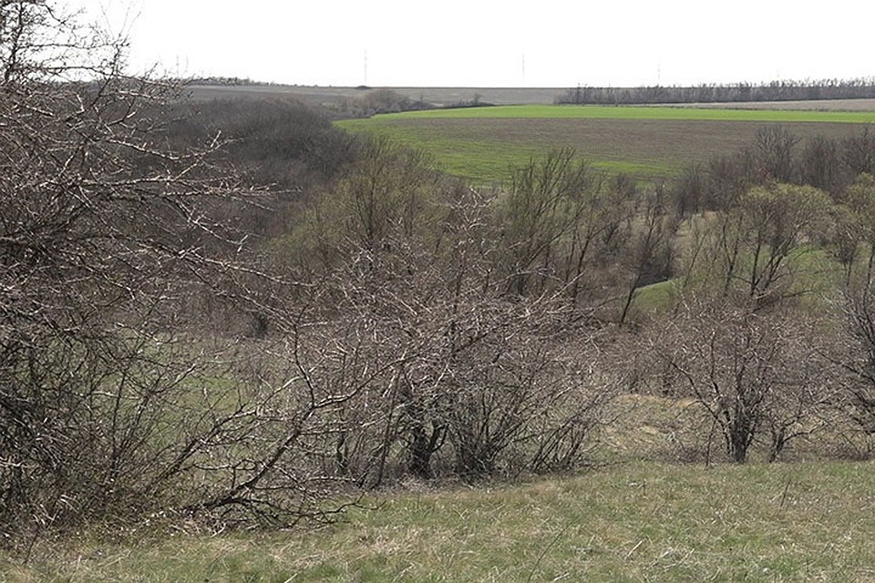 Вид на Казенную балку