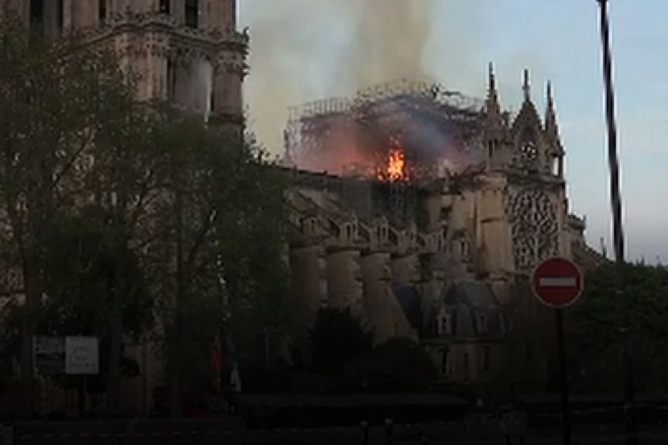 Фото: скриншот с видео