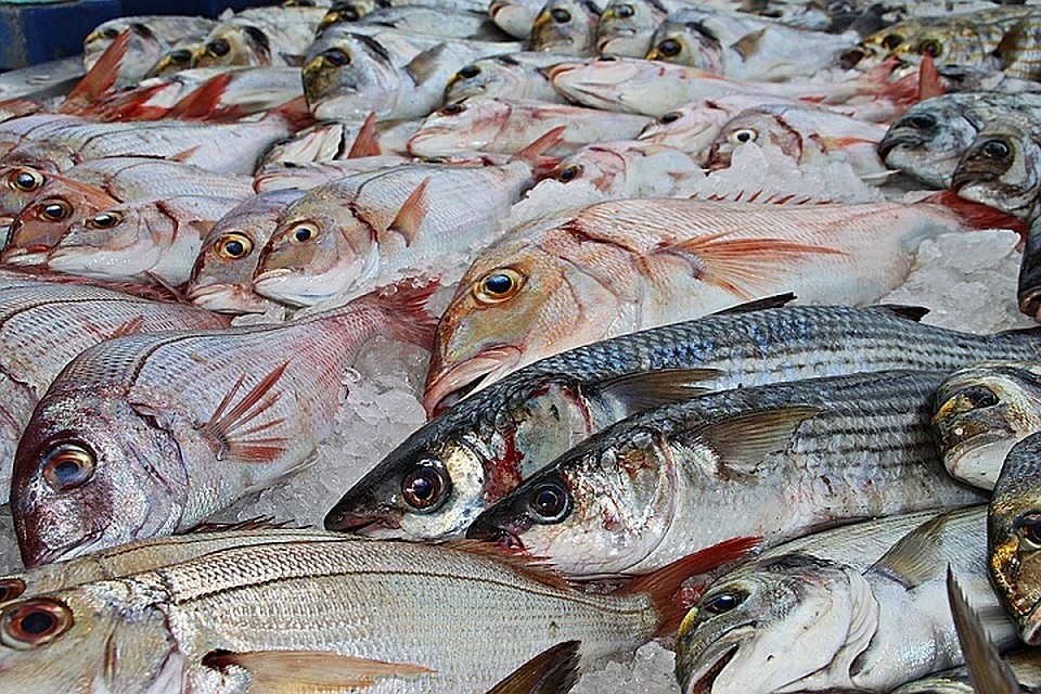 Мужчина захотел дорогой рыбы, и сожительница ее для него украла. Фото: pixabay.com.