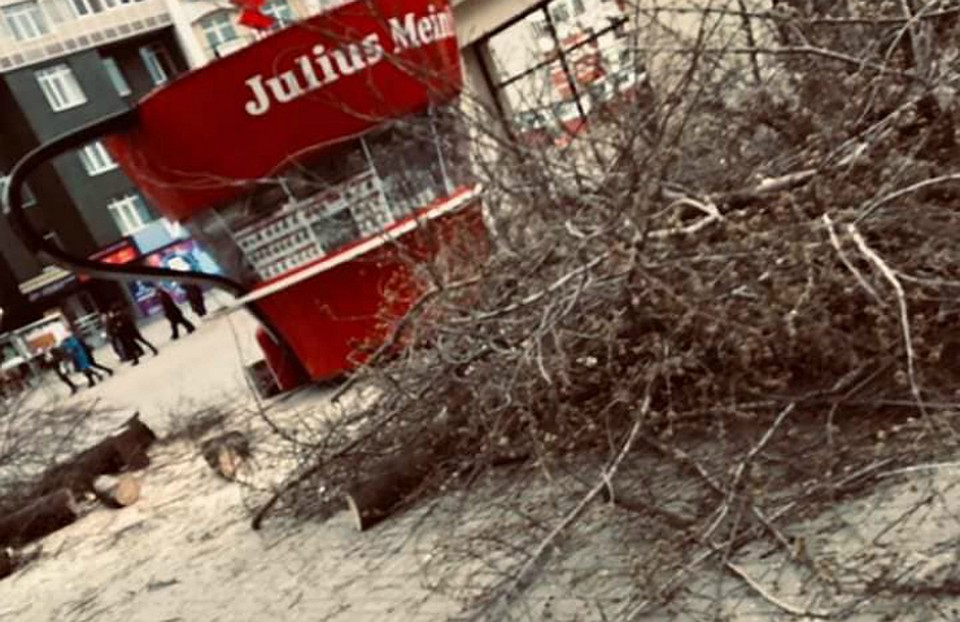 Фото: взято с личной страницы Елены Ивановой в Facebook