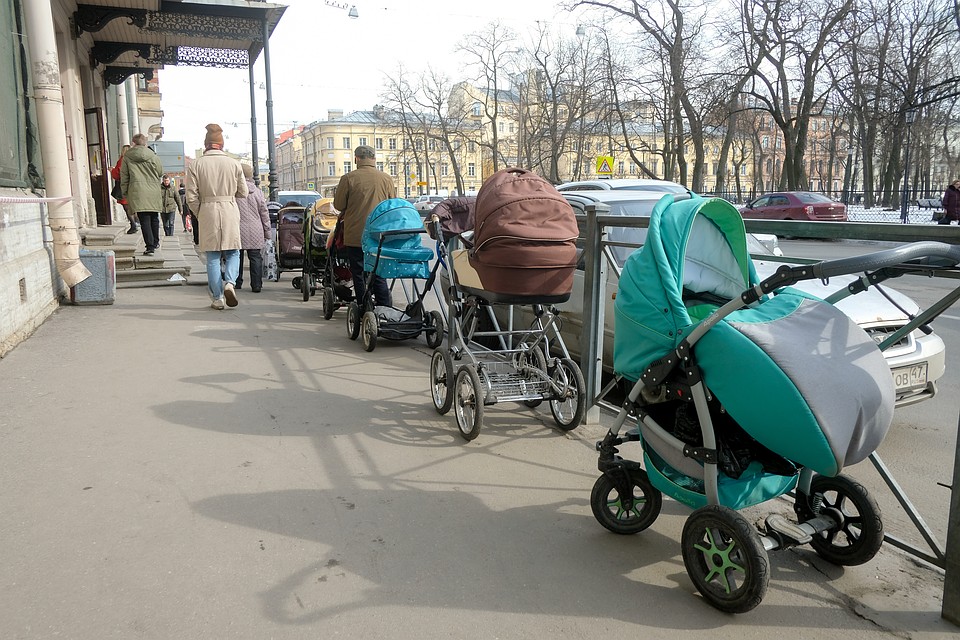 Список, куда можно направить региональный маткапитал в Петербурге, пополнился.