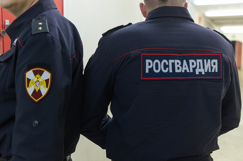 В Красногвардейском районе Петербурга задержан мужчина, пытавшийся задушить свою жену шнуром от ноутбука