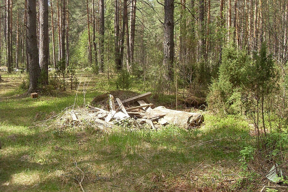 Мужчина с палкой попытался напасть на молодую мать в лесу