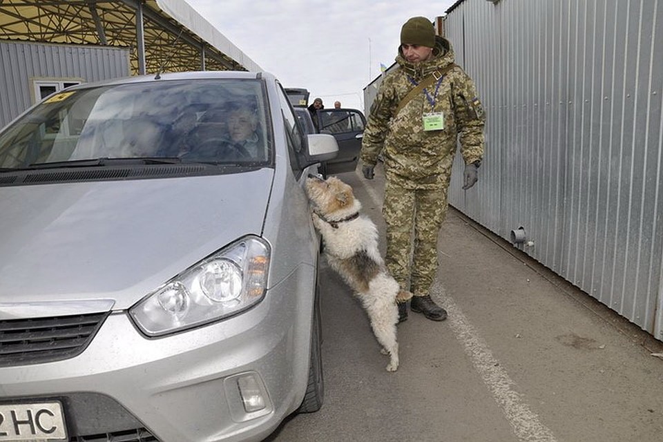 Для досмотра жителей Донбасса в пунктах пропуска привлекли служебных собак. Фото: facebook.com/pressjfo.news
