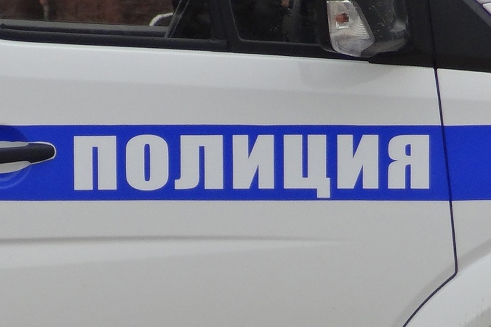 Молодую ноябрянку судят за оскорбление полицейского