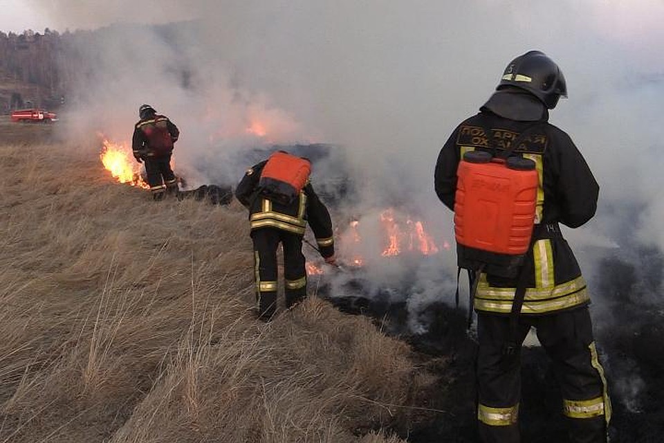 В Иркутской области за сутки выписали 25 штрафов за пал сухой травы.