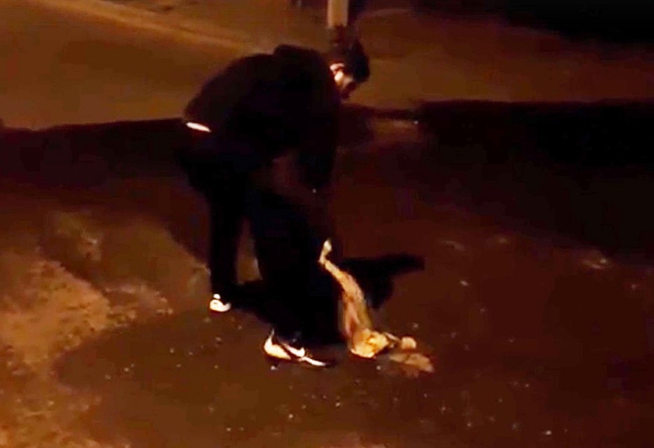 Стоп-кадр из видео группы ВК "Это Ростов-на-Дону!"