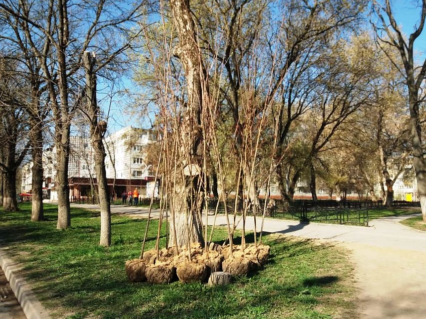 Фото: Администрация Тулы