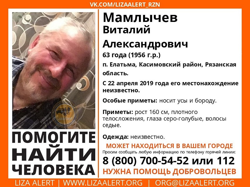 Фото: ПСО "Лиза Алерт"