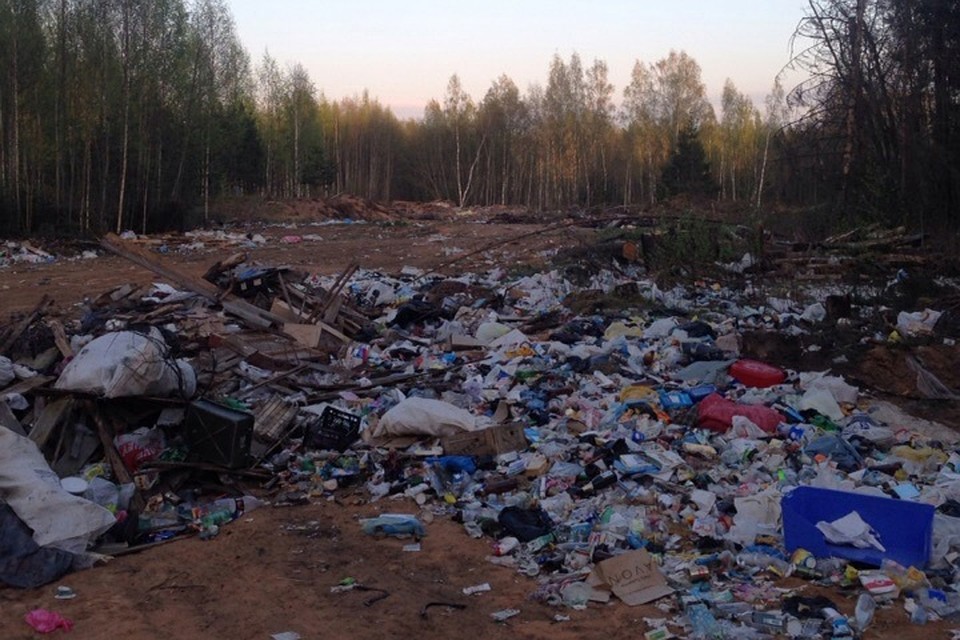 Недалеко от поселка Ямм в Гдовском районе расположилась стихийная свалка. Фото: Андрей Пасеко.
