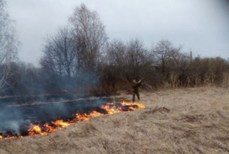 В Сорокинском районе за разведение костров оштрафовали десять человек. Фото с сайта МЧС России по Тюменской области