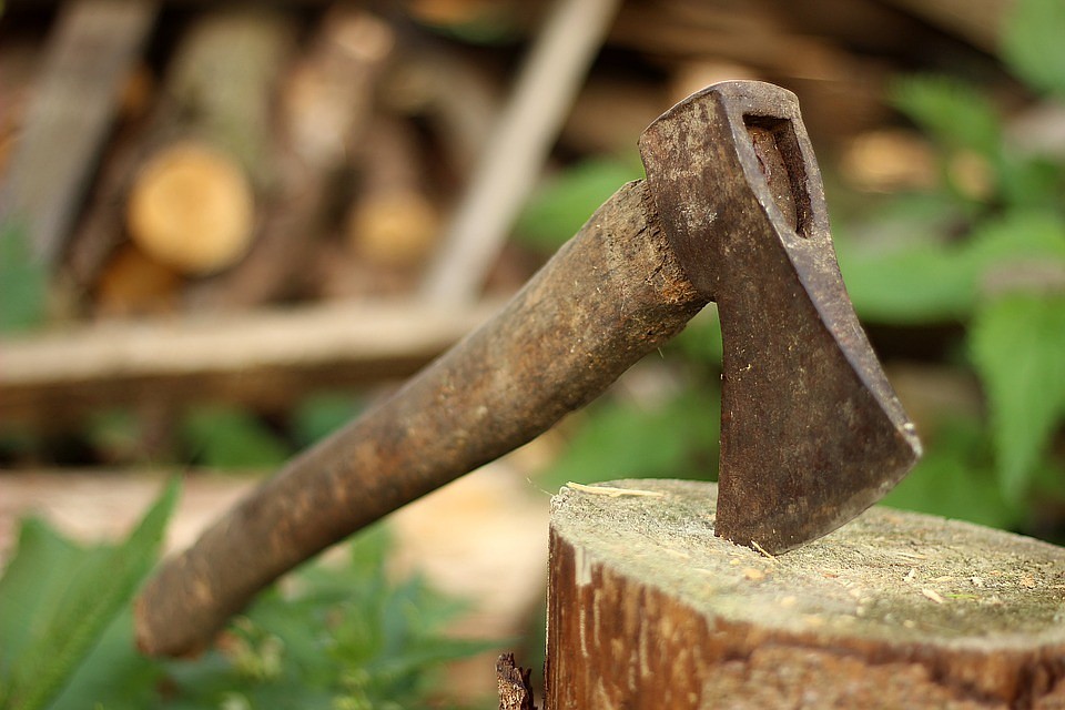 Фото: pixabay.com